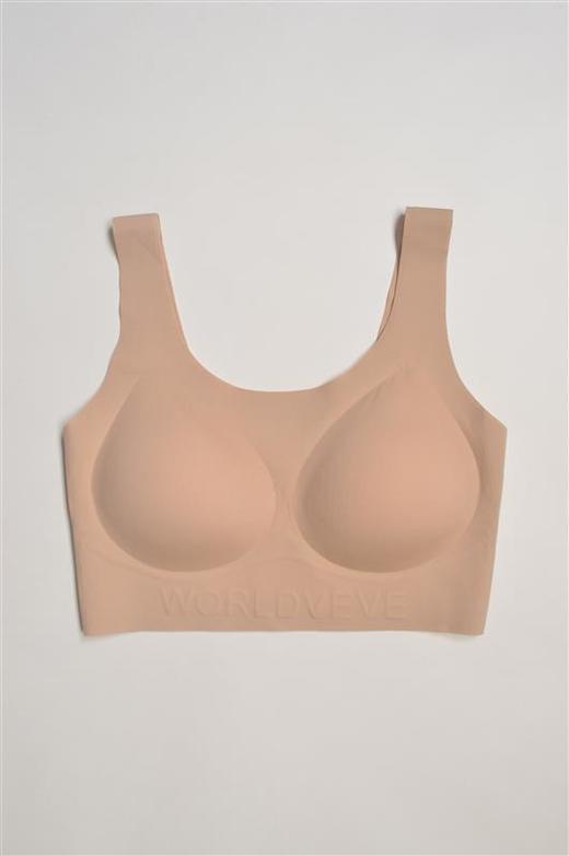 达琳可儿SXLTML_文胸_ZK 商品图0