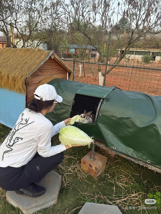 一店d 来𝐀𝐫𝐜"𝐦𝐮𝐥𝐭𝐢 𝐛𝐢𝐫𝐝限定情侣长袖T ‼️原版！国内首发 这一单你们可以放心拍 原版啥样我们啥样 商品图8