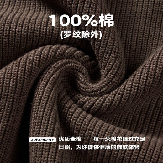 NPC潮牌流光风半开襟套头秋季针织衫毛衣复古百搭毛衣NP57SW57 商品图4