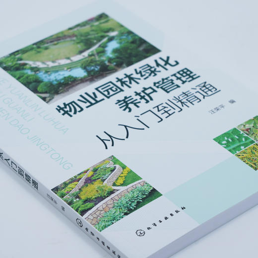 物业园林绿化养护管理从入门到精通 商品图4