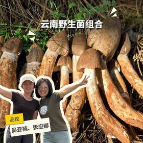 新鲜野生菌(虎掌菌/羊肚菌/白葱牛肝菌/鸡枞菌/谷熟菌)| 合作生产 * Fresh Wild Mushrooms | Partner Production