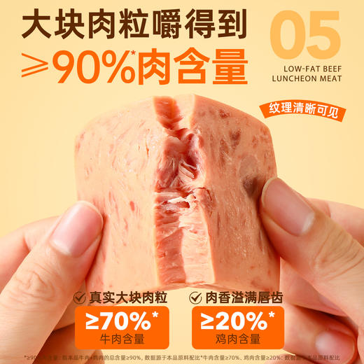 【下滑！详情页领券再拍】哥本™低脂牛肉午餐肉 商品图4