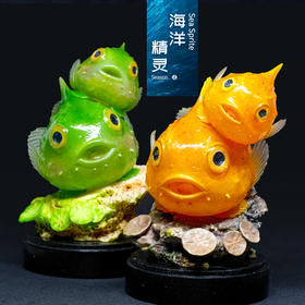 【预售】海洋精灵-圆鳍鱼 系列主题模型手办摆件【预计11月份交付】★趣界工作室 官方正品