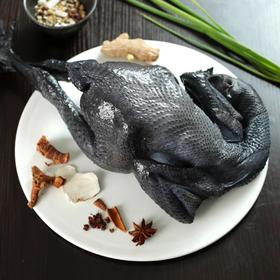 【顺丰包邮】【后院团购99元到手3只】农家散养无抗无激素白凤乌鸡 ，净膛宰杀 肉质细滑醇香 皮黑油润 炖汤首选 基地直邮东