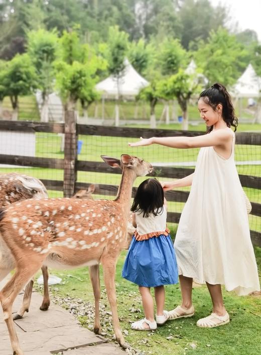 【黄龙溪欢乐田园】年末钜惠~人均低至27元/次~❗提前2小时购买~100+游乐项目无限畅玩，30+萌宠0距离互动！全家畅玩就在黄龙溪欢乐田园！！ 商品图6