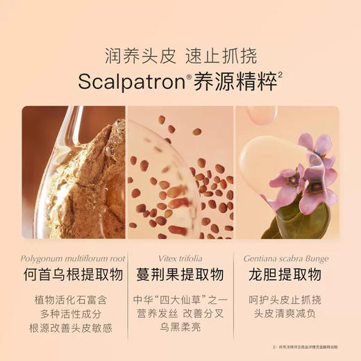 贝德美绿山茶洗发露 商品图1