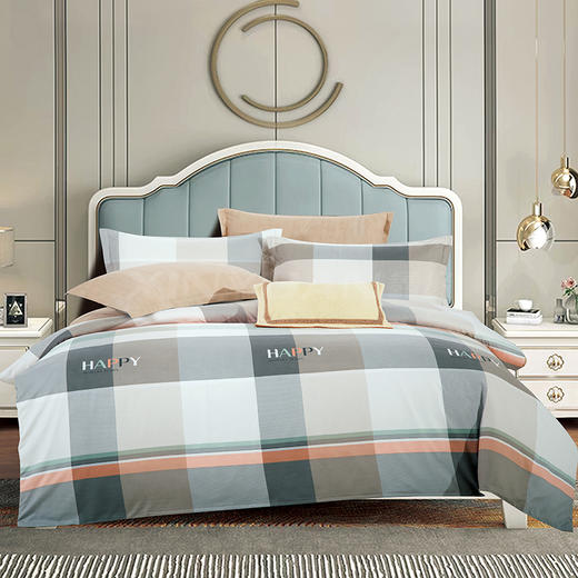 鑫缘 精品印花四件套 TJDX0418 商品图0