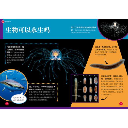 《了不起的生物》（全10册） 商品图9