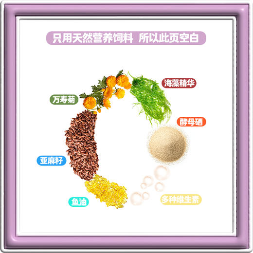 🥚薇选好物3周年秒杀【蛋益满满 可生食鸡蛋】高品质高营养鲜鸡蛋 满足全家营养需求✌️蛋香味十足 商品图3