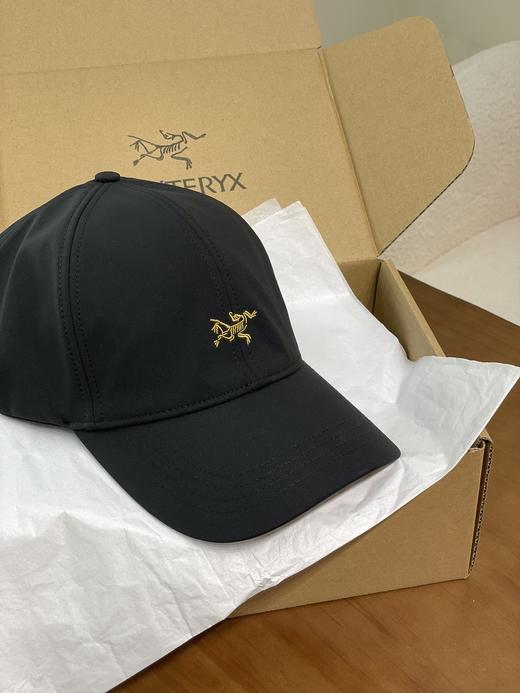 MJ38-始祖鸟经典小标棒球帽(COCO) 商品图5