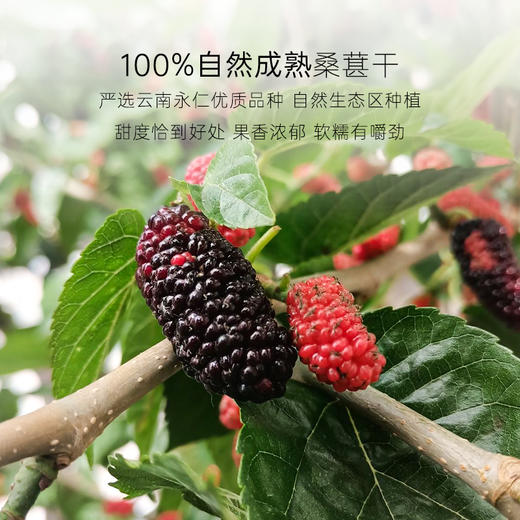 几分之几 河谷桑葚干 125g*2 商品图1