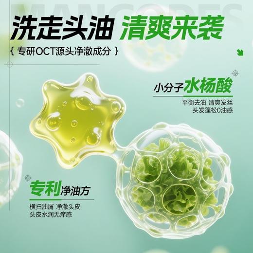 🎊双旦礼遇 | 拍5免3☃低至￥31.9/件>左颜右色 蓬松净屑洗发水400g 商品图3