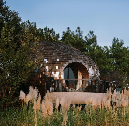 【江西新余】树蛙部落寒假早鸟直降特惠套餐3天2晚 森林冬宴 商品图0