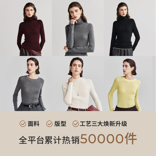 棉仓366635040-可机洗全羊毛打底衫女25秋冬120s18针打底针织衫 商品图0