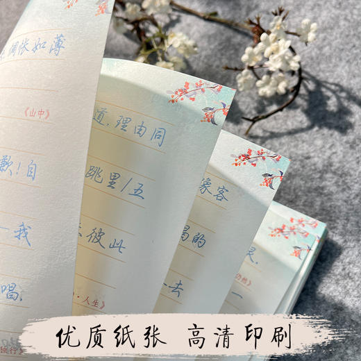 荆霄鹏行楷字帖文学品读经典林徽因语录女神练字帖成人优美诗歌散文名著美文 商品图5