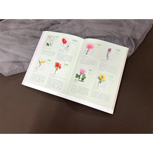 小原流花道技法教程 商品图3