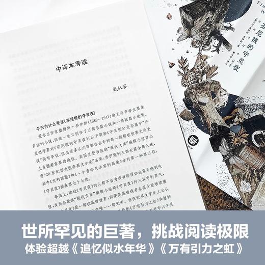 芬尼根的守灵夜 全译注释本 赠藏书票 詹姆斯乔伊斯 与尤利西斯并肩的世界文学经典 译林出版社 华东师范大学出版社 商品图4