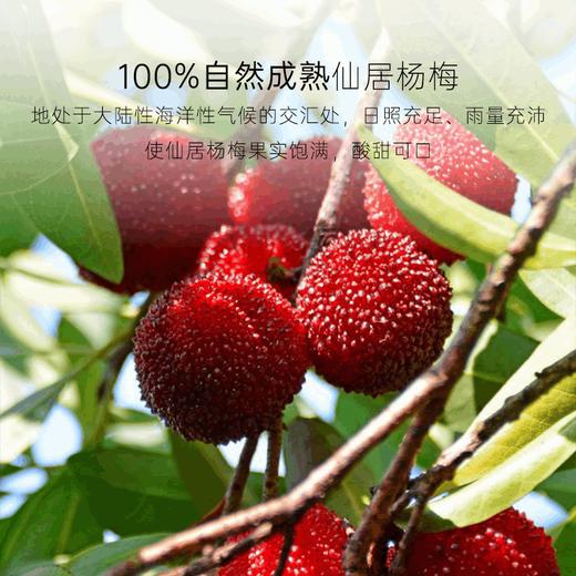 几分之几 仙居杨梅干 70g*2 商品图1