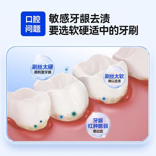 纳美探白研清牙刷三支装 商品图2