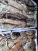 【保证不泡水，不泡药，市场上泡水的鱿鱼都得卖25一斤】大连当地超新鲜大鱿鱼新鲜上岸，原汁原味，肉厚鲜香，单条1斤以上，冷冻发货 ，东三省包邮 商品缩略图1