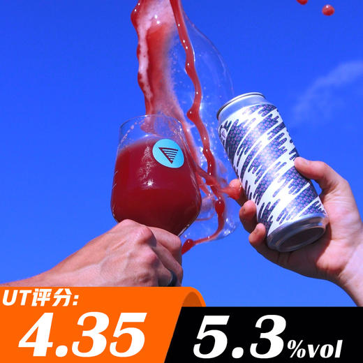 家园 双重黑色莓莓 473ml 商品图0