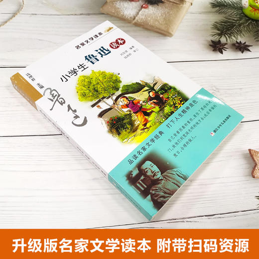 小学生鲁迅读本 商品图1