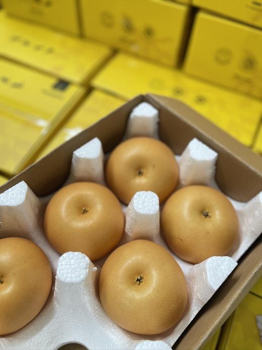 【2025新一批】秋月梨是日本选育的中晚熟褐色沙梨品种【吃海芒芒｜山东莱阳秋月梨】坚决不早采，人工用心挑采 商品图3