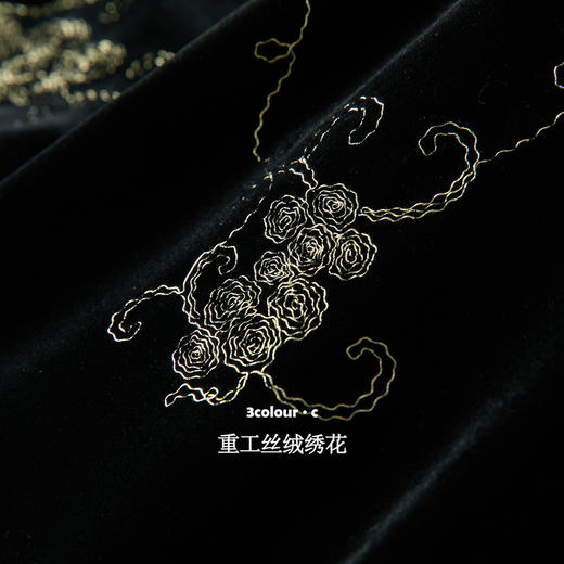 三彩【落日熔金】2025冬季新款绣花丝绒外套灯笼袖上衣C 商品图3