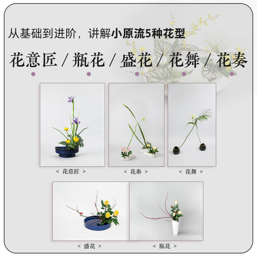 小原流花道技法教程 商品图2