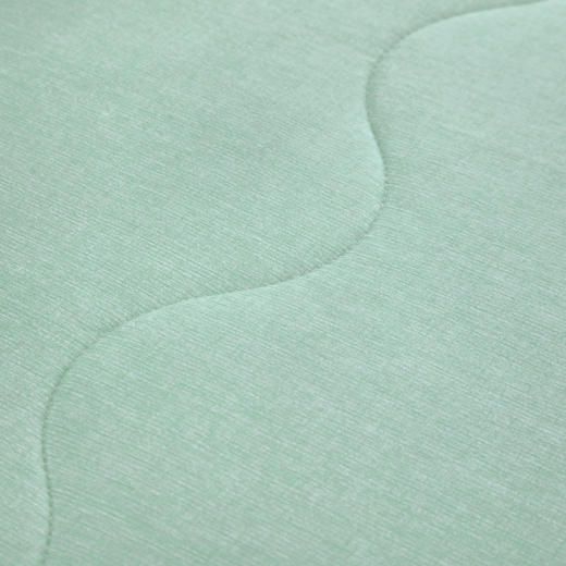 雅鹿-艾草驱蚊抗菌被ZZLY-YLB2513   150*200cm—rxs 商品图3