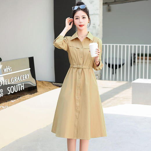 WG32029早春秋女装2025年新款穿搭法式长袖收腰衬衫连衣裙子优雅 商品图1