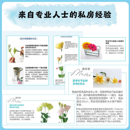 花艺设计花材使用手册 商品图3