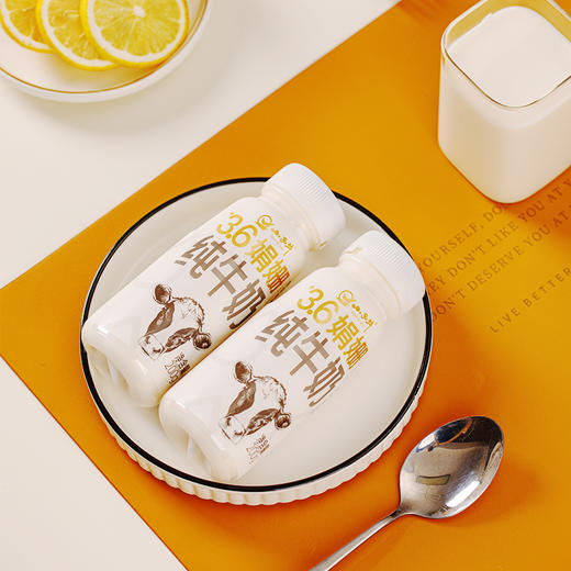 【光明&小西牛】雪域高原祁连山牧场全脂娟姗纯牛奶3.6g乳蛋白200g*10瓶 商品图9