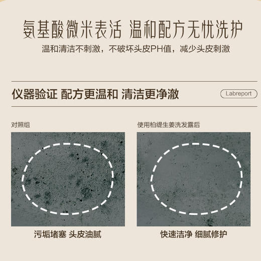 柏缇 生姜洗发露500ml HY50001-rxs 商品图4