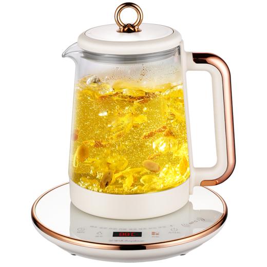 荣事达钛发热盘养生壶YSH1592T—rxs 商品图0