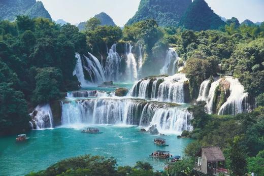 【9.28出发广西 2025秋假国庆 | 6天5晚】三栖自然·广西：三栖动物自然科考，中华白海豚之乡，探访国家自然保护区！ 商品图1