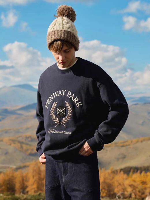 Evistub/E-4DWY930/重磅云朵绒贴布绣卫衣 商品图2