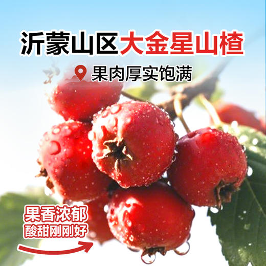 良品铺子|【满299-200】甘草空心山楂120g（单拍不发） 商品图1