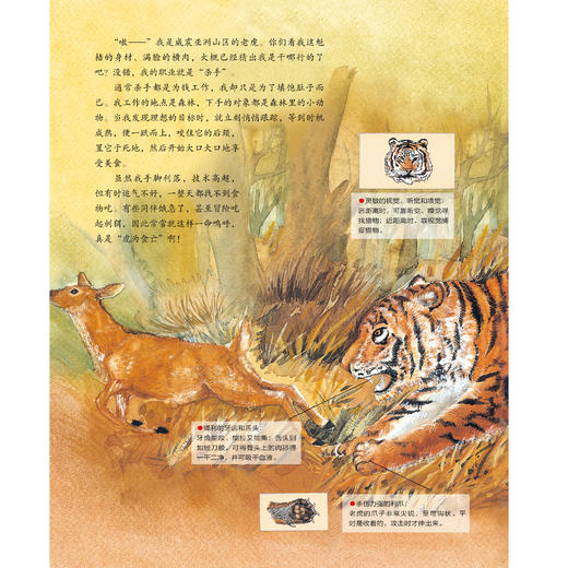 《小学生科学漫画大书》（第1+2辑）全11册 商品图6