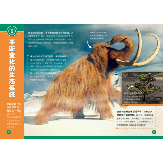 《了不起的生物》（全10册） 商品图11