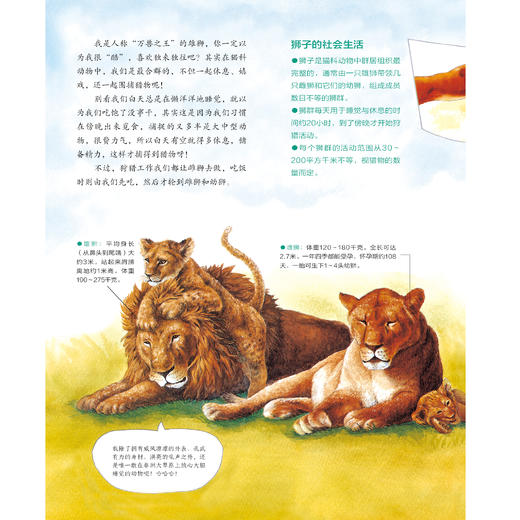 《小学生科学漫画大书》（第1+2辑）全11册 商品图7