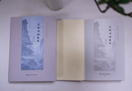 行政法的技艺（法学学习方法丛书）/ 王贵松 商品图3