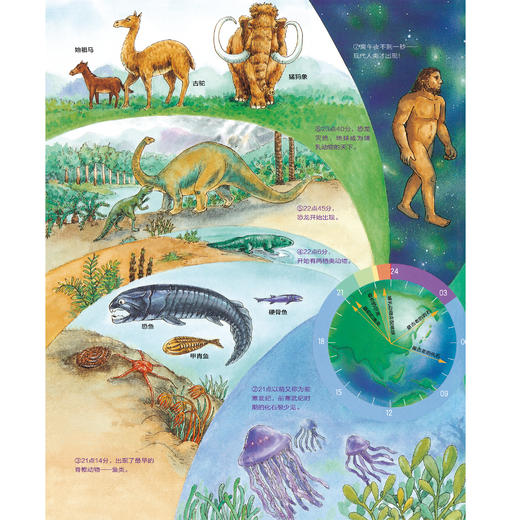 《小学生科学漫画大书》（第1+2辑）全11册 商品图9