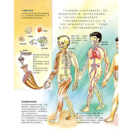 《小学生科学漫画大书》（第1+2辑）全11册 商品图10
