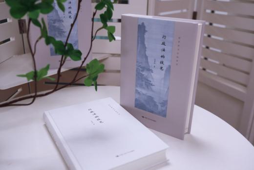 行政法的技艺（法学学习方法丛书）/ 王贵松 商品图2