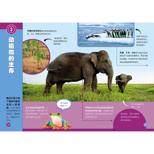 《了不起的生物》（全10册） 商品图5