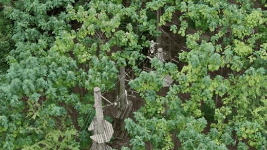 【黄龙溪欢乐田园】年末钜惠~人均低至27元/次~❗提前2小时购买~100+游乐项目无限畅玩，30+萌宠0距离互动！全家畅玩就在黄龙溪欢乐田园！！ 商品图2