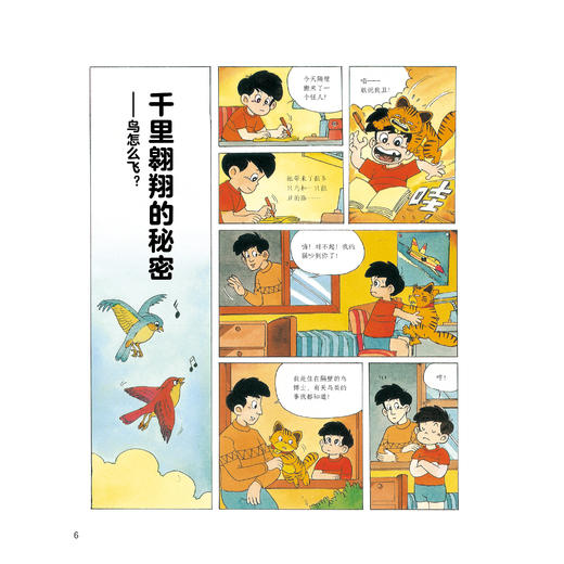 《小学生科学漫画大书》（第1+2辑）全11册 商品图5