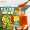 田野牧蜂茴香蜂蜜海拔3500米高原特色本草蜜珍稀好蜜 商品缩略图0