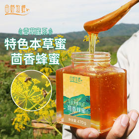 田野牧蜂茴香蜂蜜海拔3500米高原特色本草蜜珍稀好蜜
